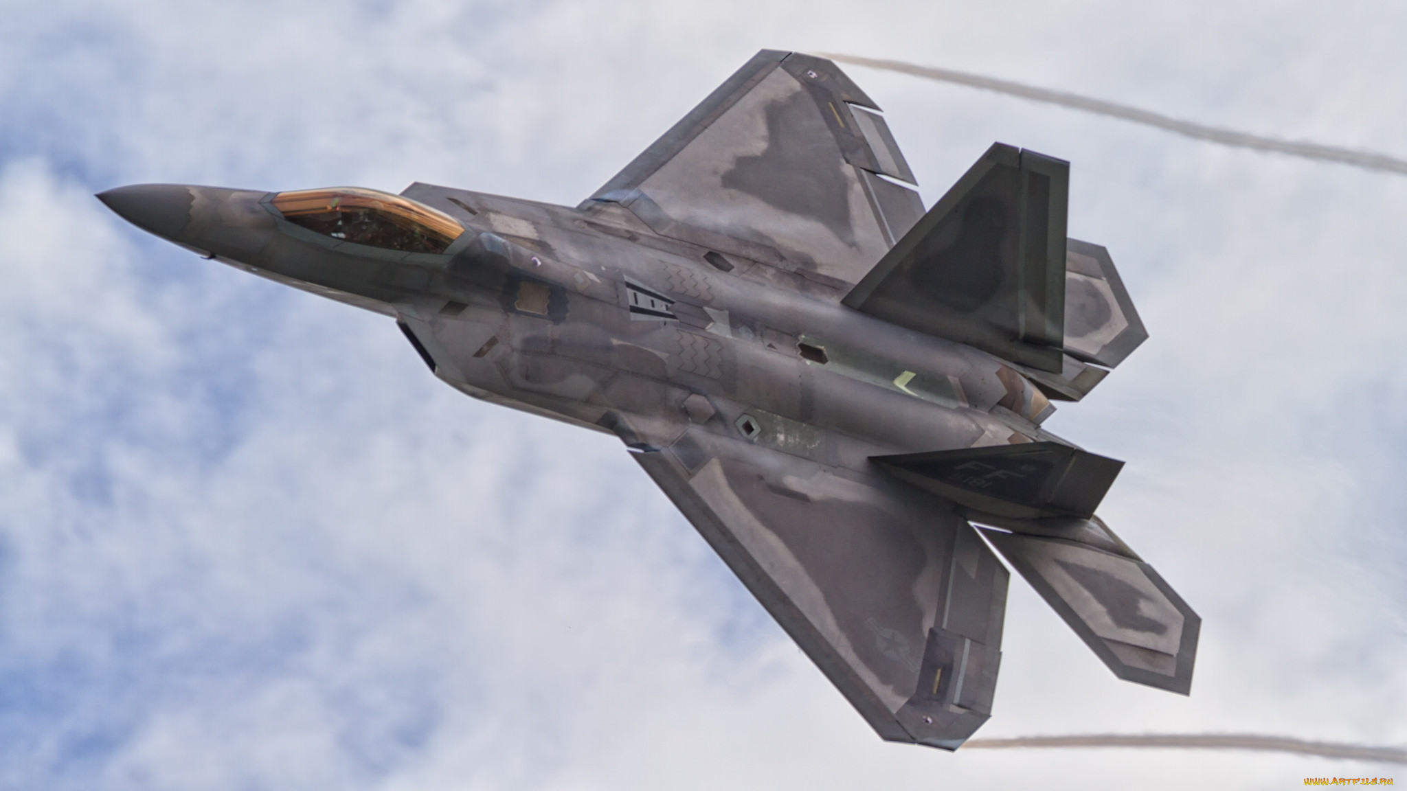 raptor, ,  , 
